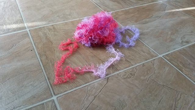setiap hari kucing ini beri hadiah pada tuannya, termasuk sepasang kasut